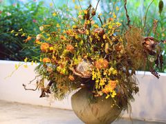 -自由生长植物工作室(深港花卉中心店)