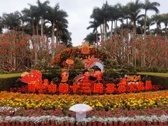 -金花茶公园