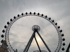 -海合安武汉极地海洋公园