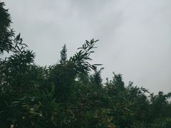 -会稽山峡洞漂流-上青古道