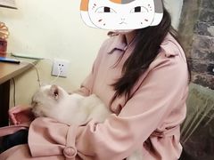 -猫色咖啡·猫咖