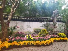 -汇龙潭