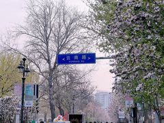 -天津五大道文化旅游区