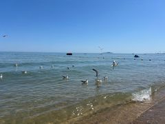 -那香海钻石沙滩浴场