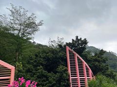 -东部华侨城