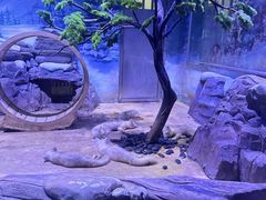 -上海海昌海洋公园