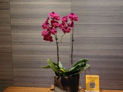 -湖滨客舍·湖北菜