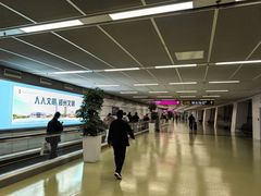 -郑州新郑国际机场-T2航站楼
