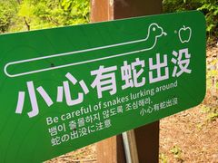 -吉林市朱雀山国家森林公园
