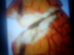 -老兵食堂(景新街店)