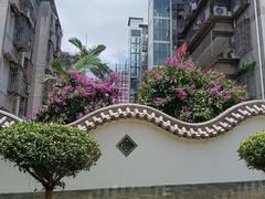 -广州神农草堂中医药博物馆