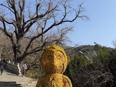 -红双喜海鲜淮扬菜·港城美食名片(海昌北路店)