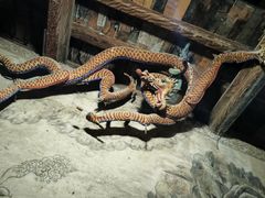 -张掖大佛寺景区