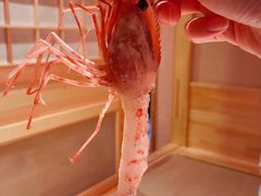 -稳座小料理(锦华街店)