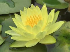 -上海辰山植物园