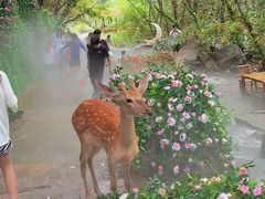-方城县七峰山生态旅游区
