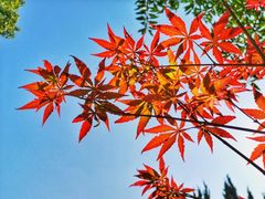 -大宁灵石公园西门票处