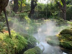 -Chom Cafe and Restaurant