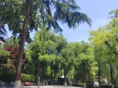 -莲湖公园