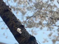 -永乐路-路侧停车场