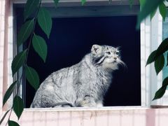 -青藏高原野生动物园