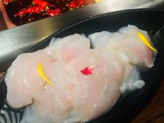 金沙江龙鱼-老牌坊云南鱼豆花火锅(嵩山店)
