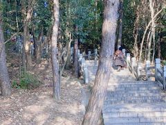 -灵岩山风景区