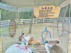 -云栖山谷野奢营地