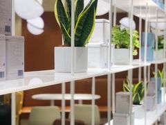 -奈雪的茶(新天地广场PRO店)