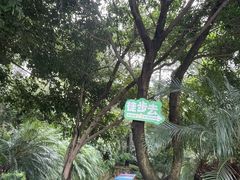 -铁山坪森林公园