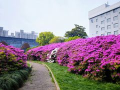 -长阳创谷