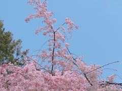 -西安青龙寺遗址景区