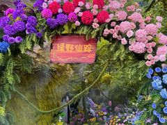 -沂蒙云瀑洞天景区