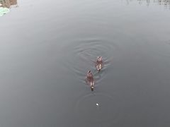 -前关湿地公园