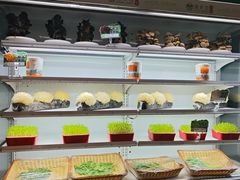 -番食园鲜食火锅(高新店)