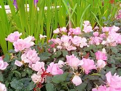 -漕溪路(地铁站)