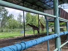 -秦皇岛野生动物园