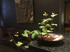 -心足私家足疗SPA(深圳湾店)