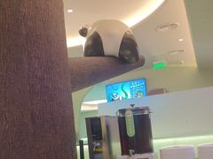 -眉州东坡·熊猫主题餐厅(枫蓝店)