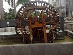 -马大胡子清真西北菜