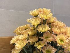 -囿面传统制面馆(中央路店)