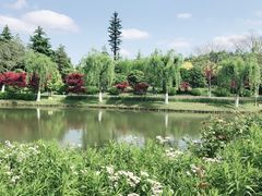 -上海鲜花港