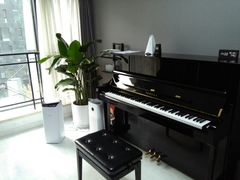 -Melody Mentor音乐私教馆(朝外·悠唐店)