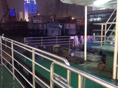 -武汉关码头(轮渡站)