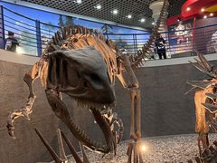 -国家自然博物馆