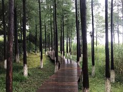 -太湖湖滨国家湿地公园-停车场