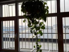 -宝鸡东道花鸟鱼虫市场(吉利花园商场店)