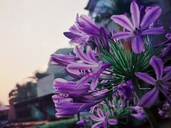 -Club Med地中海俱乐部·桂林度假村