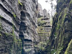 -梭布垭石林景区