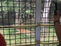 -横道河子东北虎林园